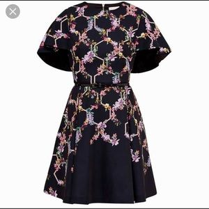 Ted Baker Dress